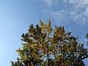 Herbouilly 019